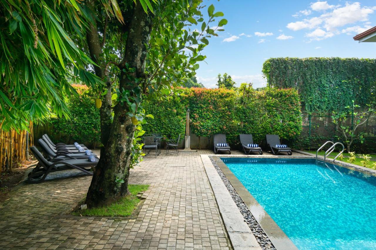 Clove Villa Kandy Kültér fotó